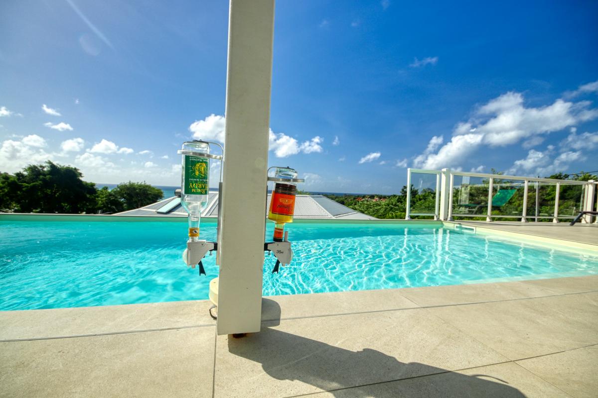 location maison martinique - piscine et rhum